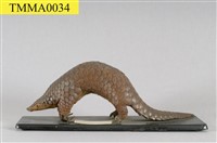 海南穿山甲藏品圖，第6張